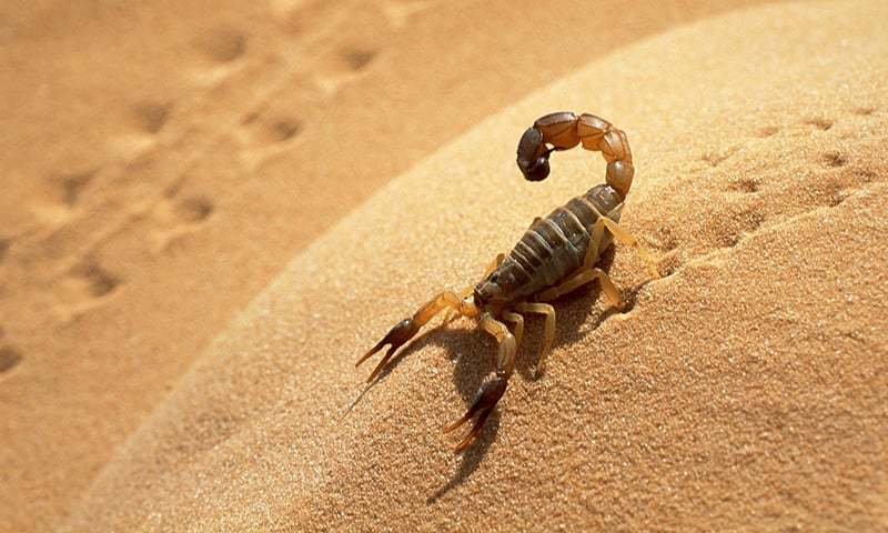 5 drugs you probably didn’t know about