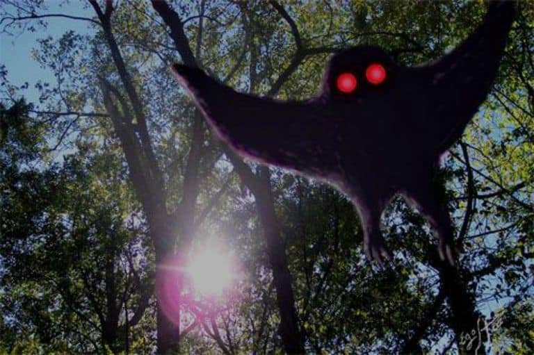 Mysterious creature sparks fear in Karachi