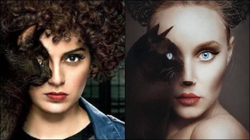 Hungarian artist accuses Judgmental Hai Kya makers of plagiarism