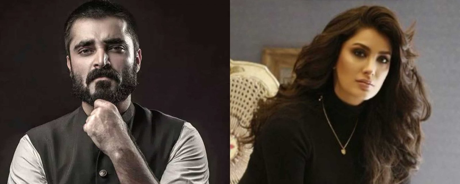 Hamza Ali Abbasi, Mehwish Hayat among others raise their voice for Kashmir