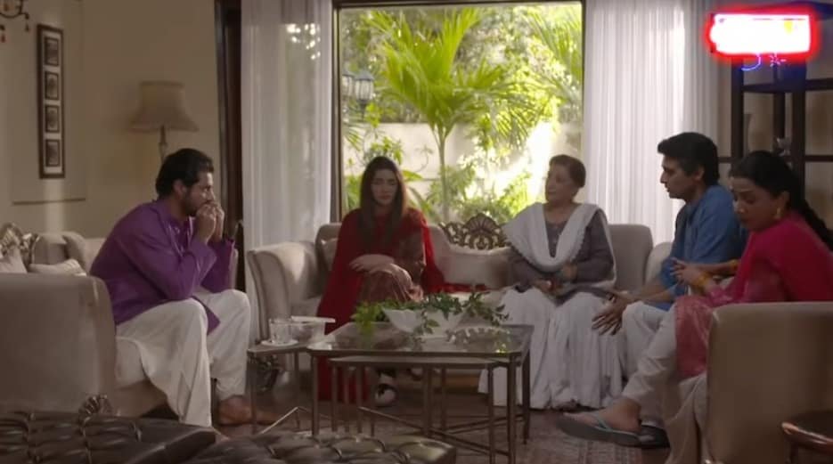 What happened in the Senate Elections – Pakistani Drama Style