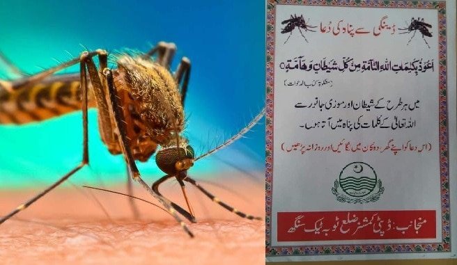 As dengue cases cross 10,000 mark, Punjab govt has a ‘dua’ for people