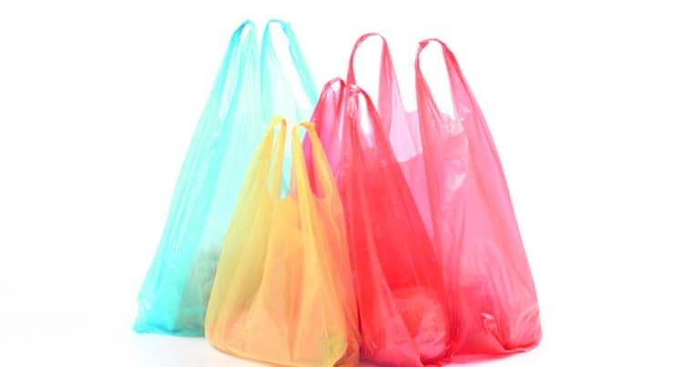 Karachi University student creates edible shopping bags