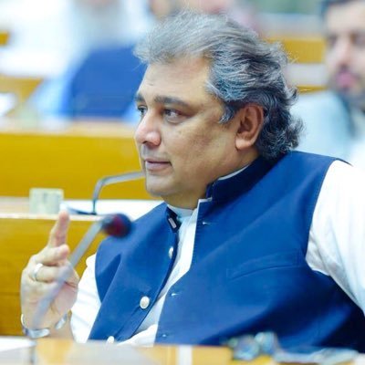 Ali Haider Zaidi wants ‘The Godfather’ director to make a movie on Sharif family