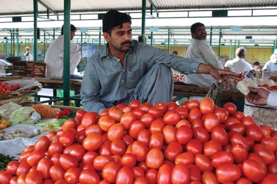 Week after Sheikh’s Rs17/kg claim, tomato prices reach record high of Rs400