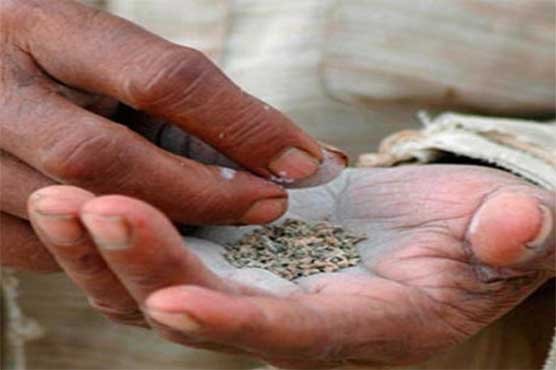 After Sindh, Balochistan also bans gutka