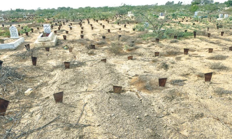 Over 300 bodies of newly born babies found by Edhi Foundation in 2019