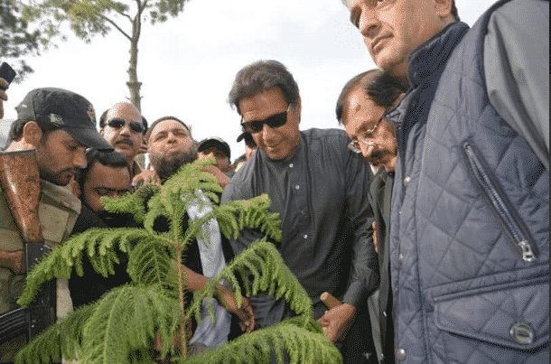 Billion Tree Tsunami: NAB detects Rs462 million loss to exchequer