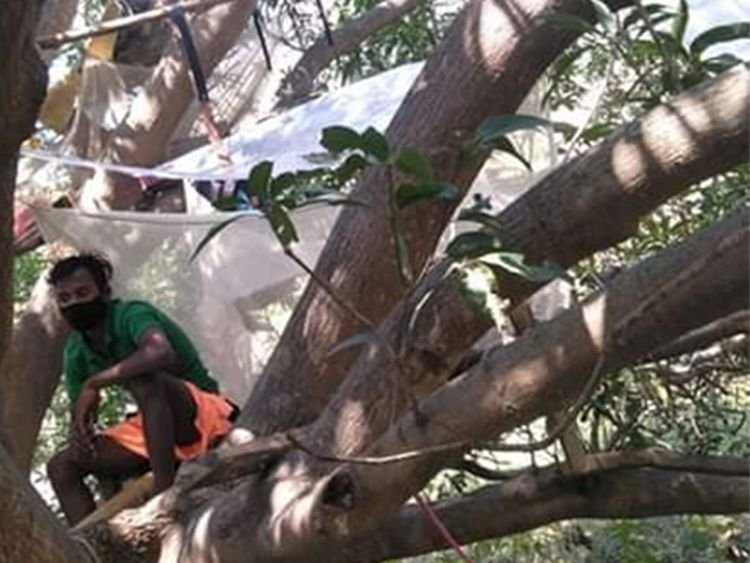 Seven people quarantine themselves on a tree in India