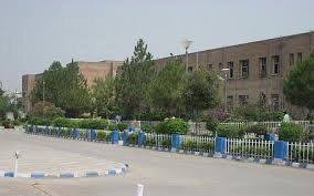 Deceased Peshawar patient did not have coronavirus, tests confirm