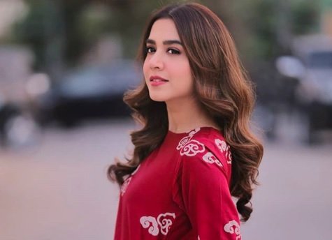 Coronavirus: Mansha Pasha urges everyone to do their bit