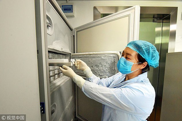 Broken seals at Wuhan lab holding 1,500 different strains of virus, including bat coronavirus