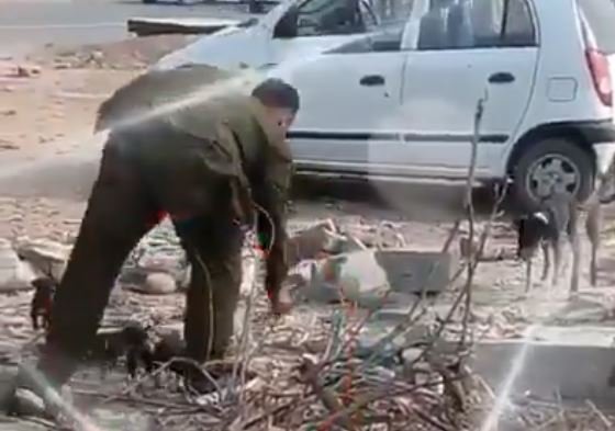 Heartwarming video shows Punjab cop buying food for stray dogs, feeding them