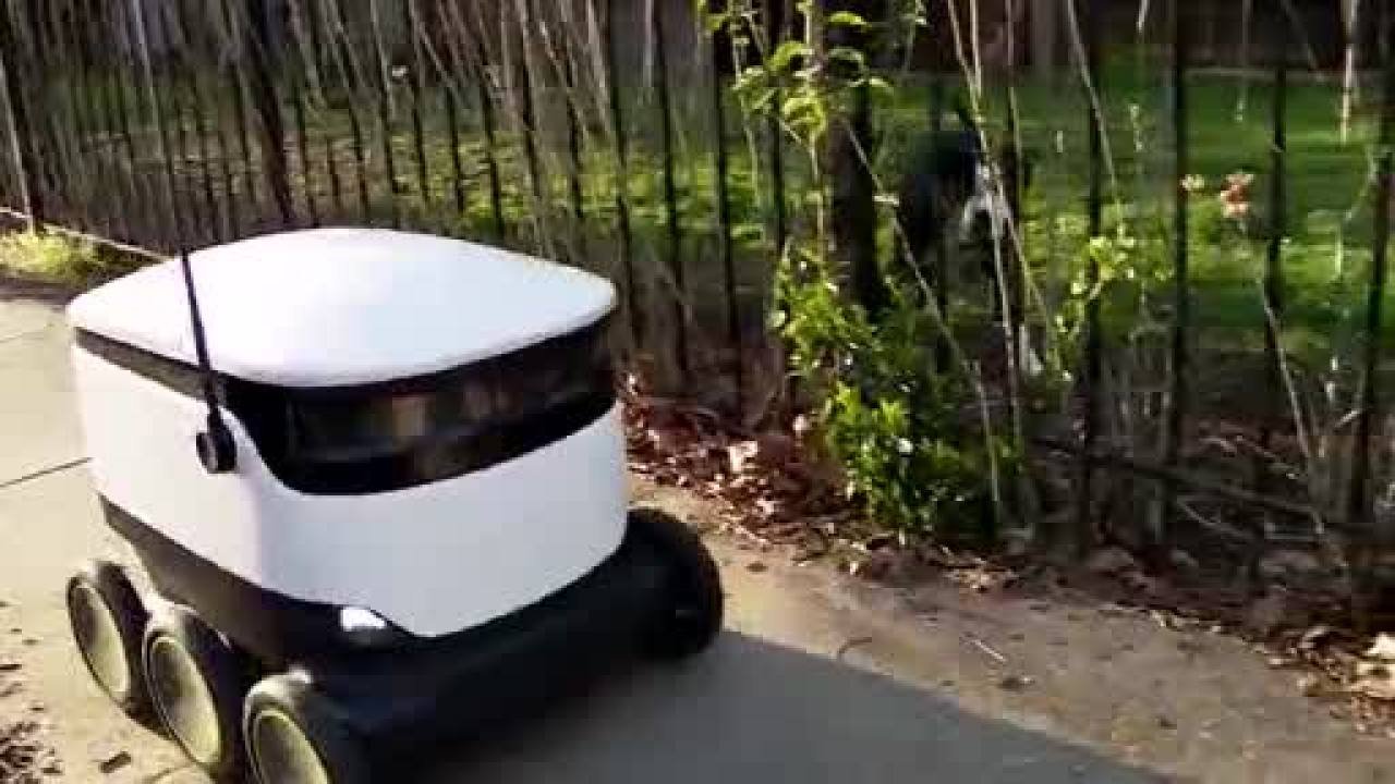 Washington DC market uses robots to deliver groceries during coronavirus pandemic