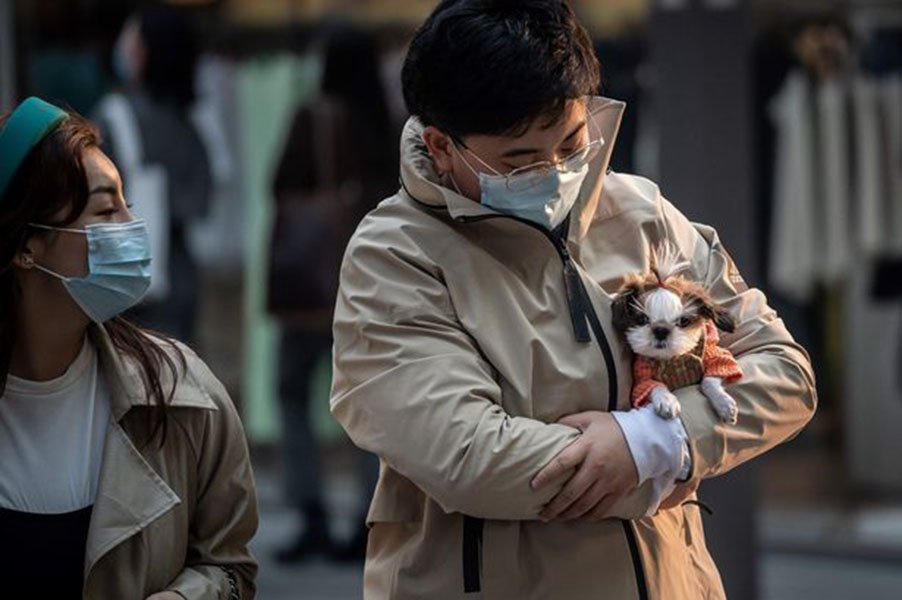 China declares dogs should be treated as pets not livestock