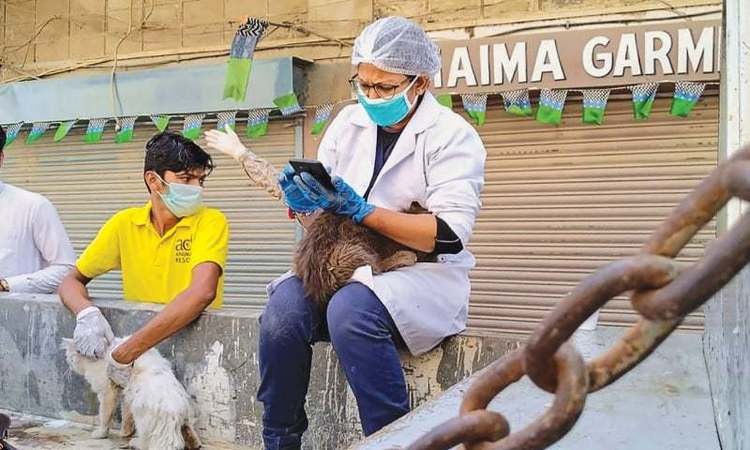 Pet animals found dead in shops due to suffocation, starvation