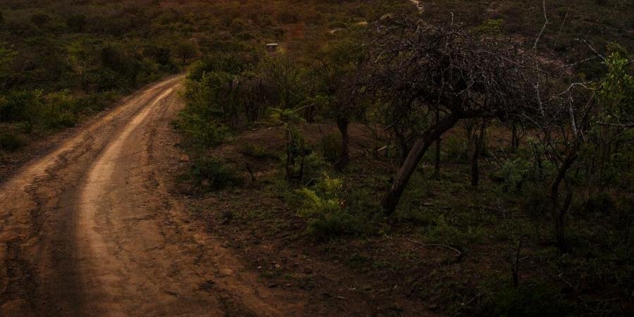 Indian man spends two days in jungle after entry to quarantine centre denied