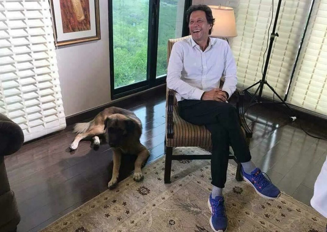 Cops in KP to be called ‘Sheru’, which is also the name of PM Imran’s dog