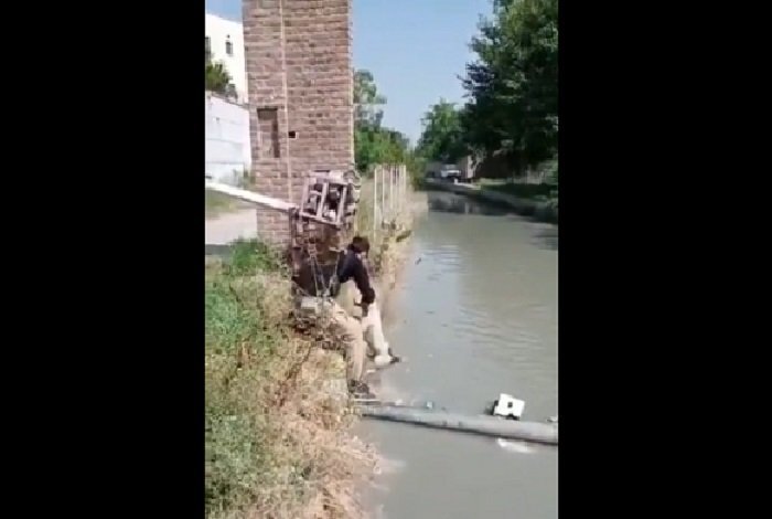 VIDEO: KP police constable rescues stray dog from canal