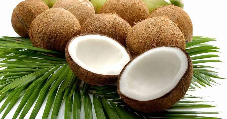 School provides relief to students by accepting tuition fees in coconuts