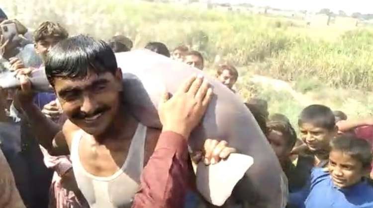 Villagers kill rare Indus dolphin near Nawabshah
