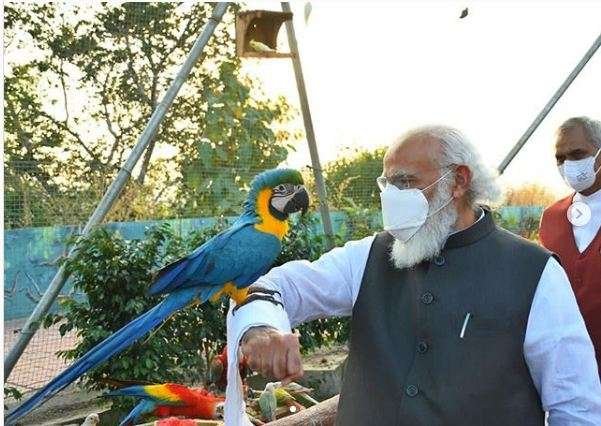 Pakistan Twitter mocks Indian PM over parrot snub