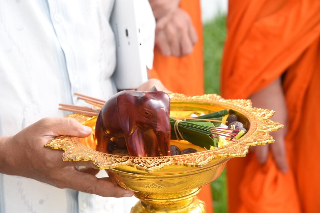 Kavaan no longer world’s ‘loneliest elephant’, finds new friends in Cambodia