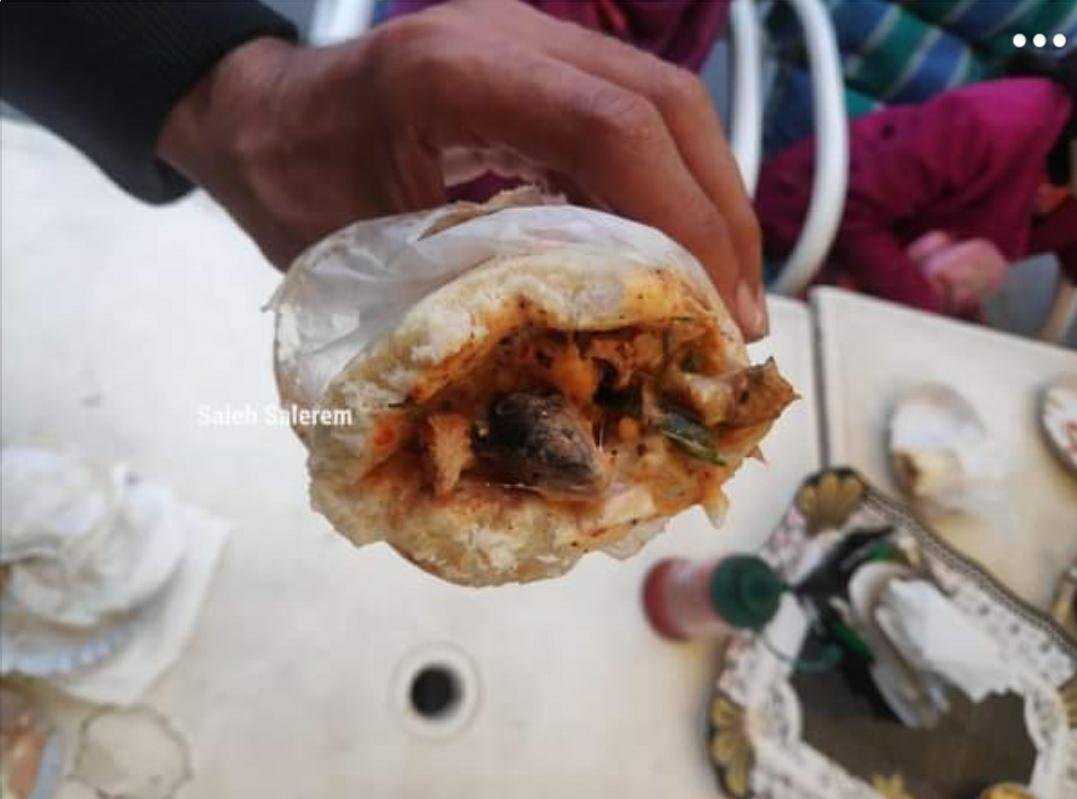 Lahore restaurant sealed after dead rat found in shawarma