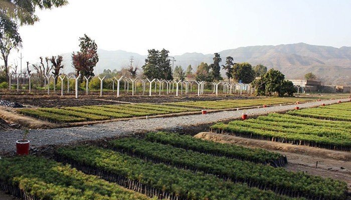 UK govt praises Pakistan on 10 Billion Tree Tsunami project