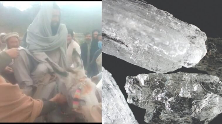 VIDEO: KP locals make ‘drug dealers’ parade on donkeys