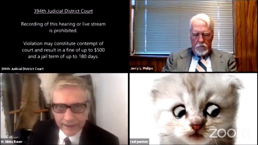 Lawyer accidentally turns on kitten filter during virtual case hearing