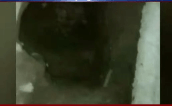 Man digs tunnel to capture ‘jinns, churails’