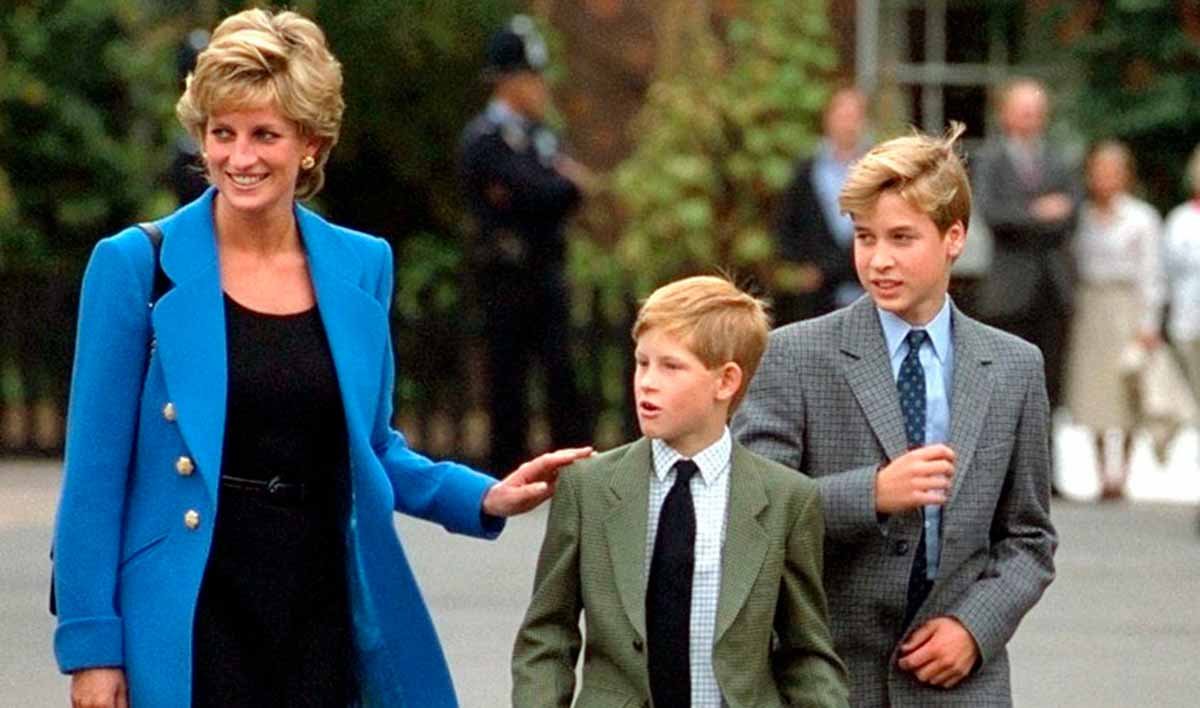 William, Harry lash out at BBC for ‘commercializing a false narrative of their mother’