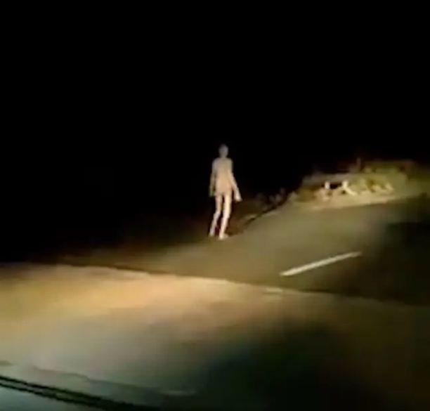 VIDEO: Alien ya bhoot?