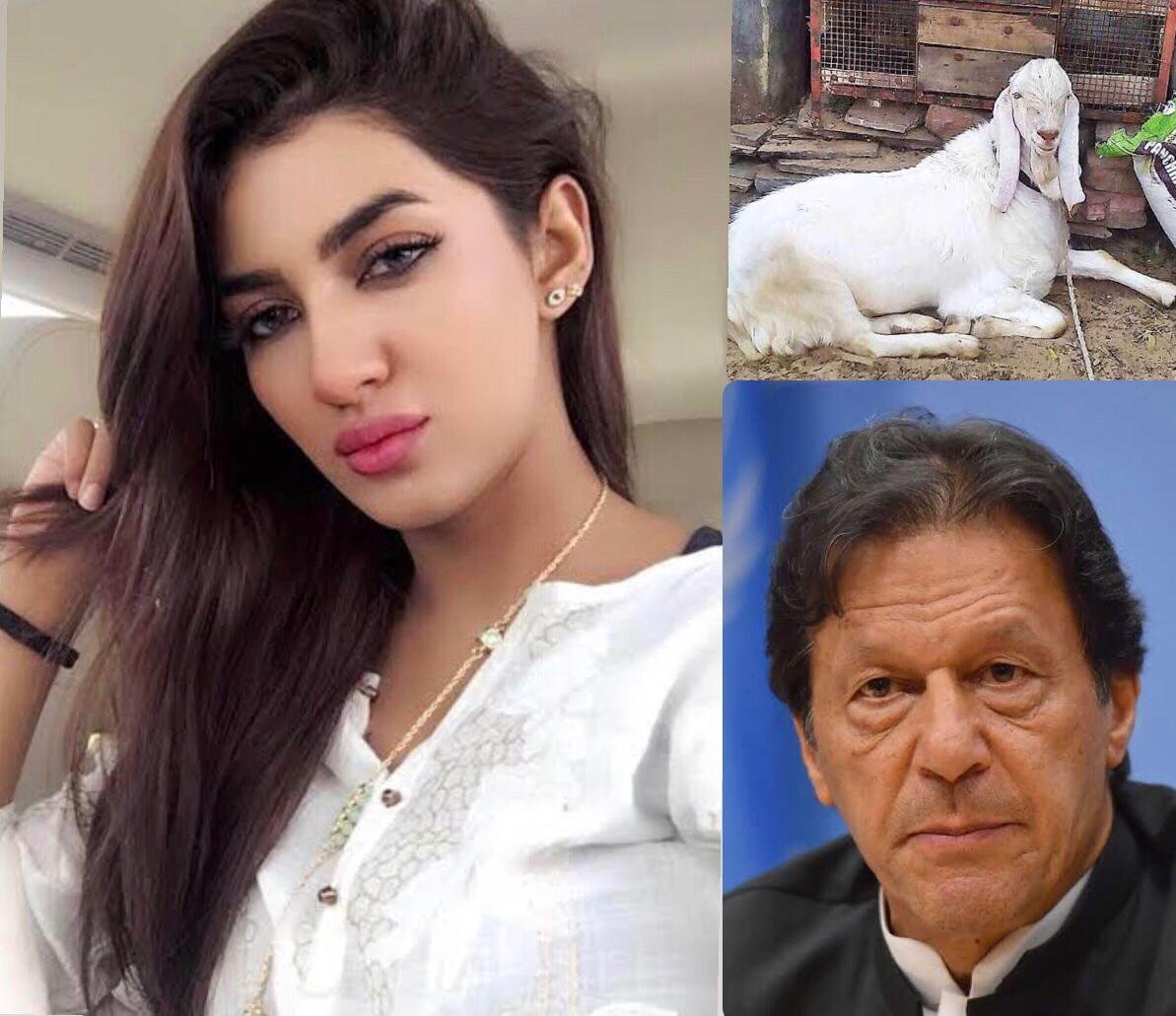 ‘Do female goats also need to wear abaya?’: Mathira questions the system