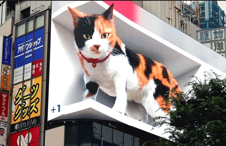 Giant 3D cat installed in Tokyo to ‘cheer people up during the pandemic’