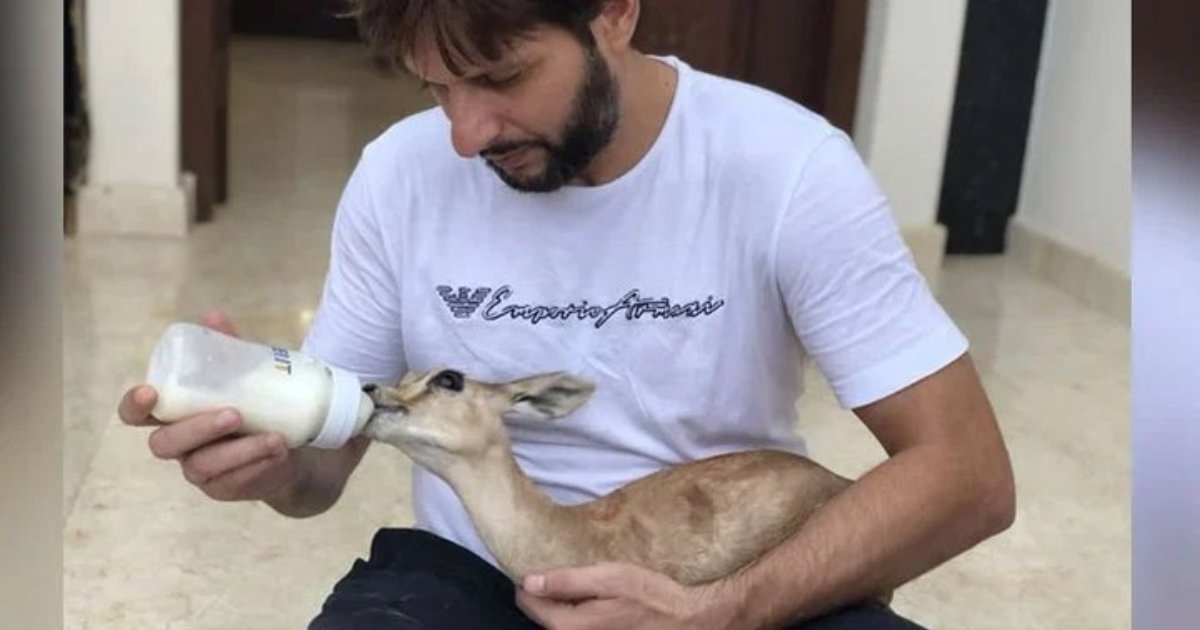 Animals removed from Shahid Afridi’s residence