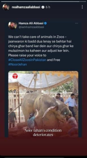 Statistical Studies for National Curriculum