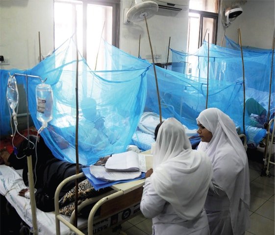Islamabad records 174 dengue cases in last 24 hours