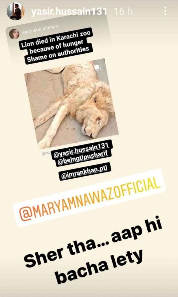 ‘Sher bacha letay’: Yasir Hussain tells Maryam Nawaz, Ayesha Omar expresses grief