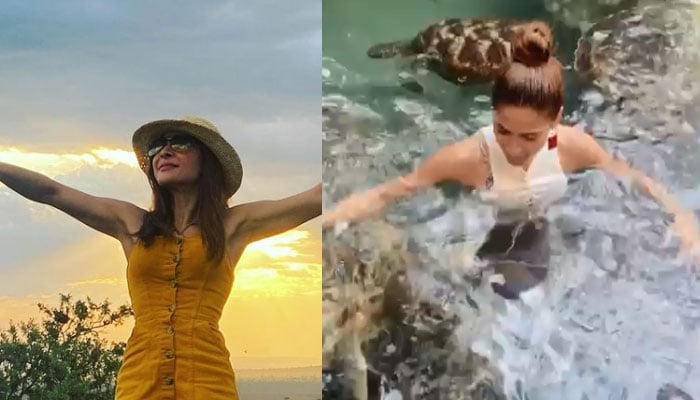 Ayesha Omar strongly claps back at troll for inappropriate comment on her swimming picture