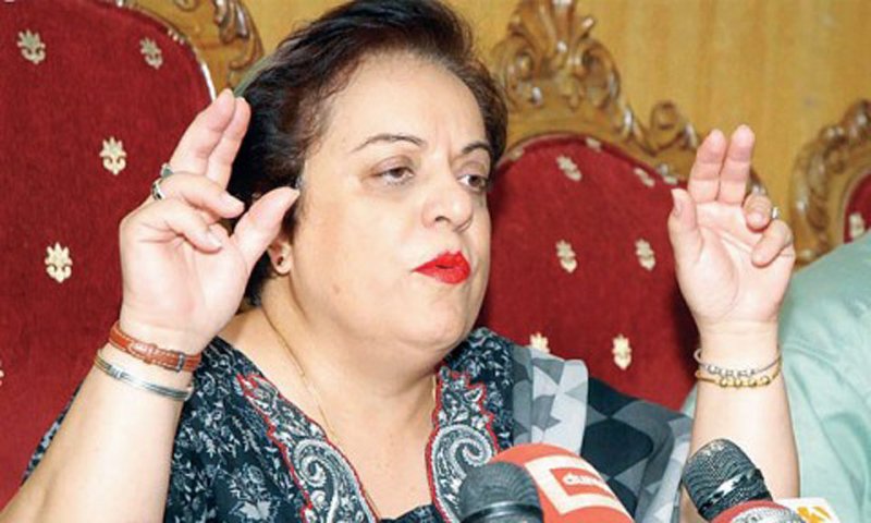 Missing persons bill gone ‘missing’, admits Minister Shireen Mazari