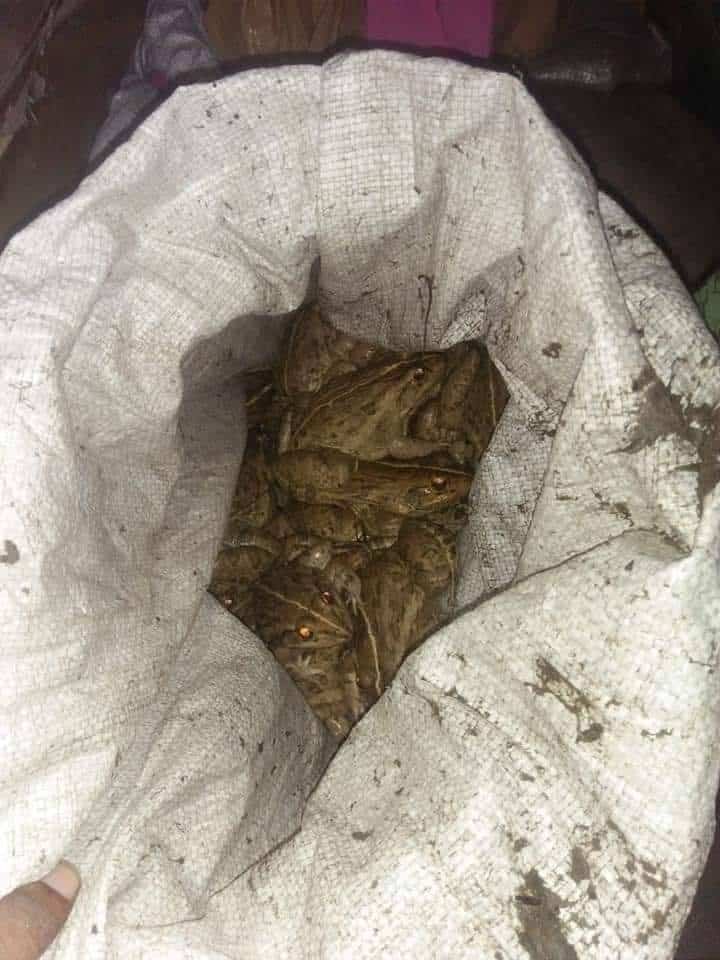 Which designer was Maryam Nawaz wearing at the PM oath-taking ceremony?