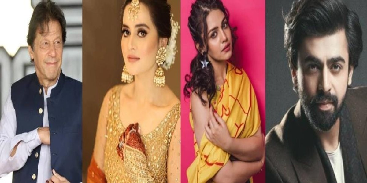 ‘Giranay ki koshish? Har ghar se Imran Khan niklega’: Aiman, Farhan and Zara are team PTI