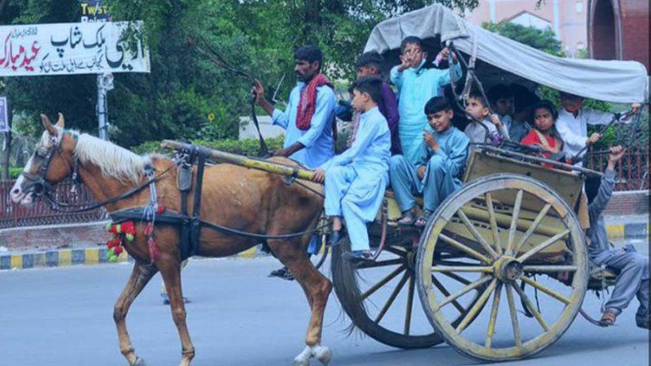 Netizens want ‘tangas’ back on roads as petrol hits Rs209.86