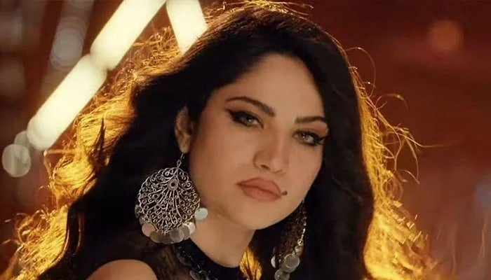 ‘Right or wrong?’: Neelam Muneer reveals screenshot of a private message