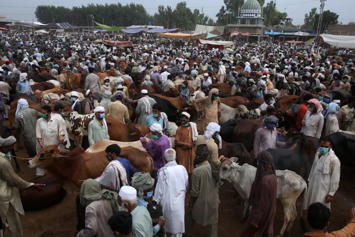 Rise in Covid cases: NCOC issues Eid-ul-Azha guidelines