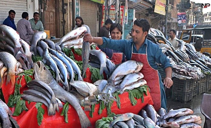‘90% of fish consumed in Pakistan is unfit for human consumption’: WWF