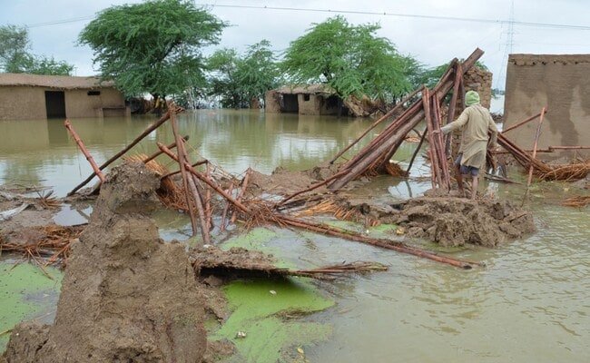 WHO assures assistance in essential healthcare in flood- affected areas