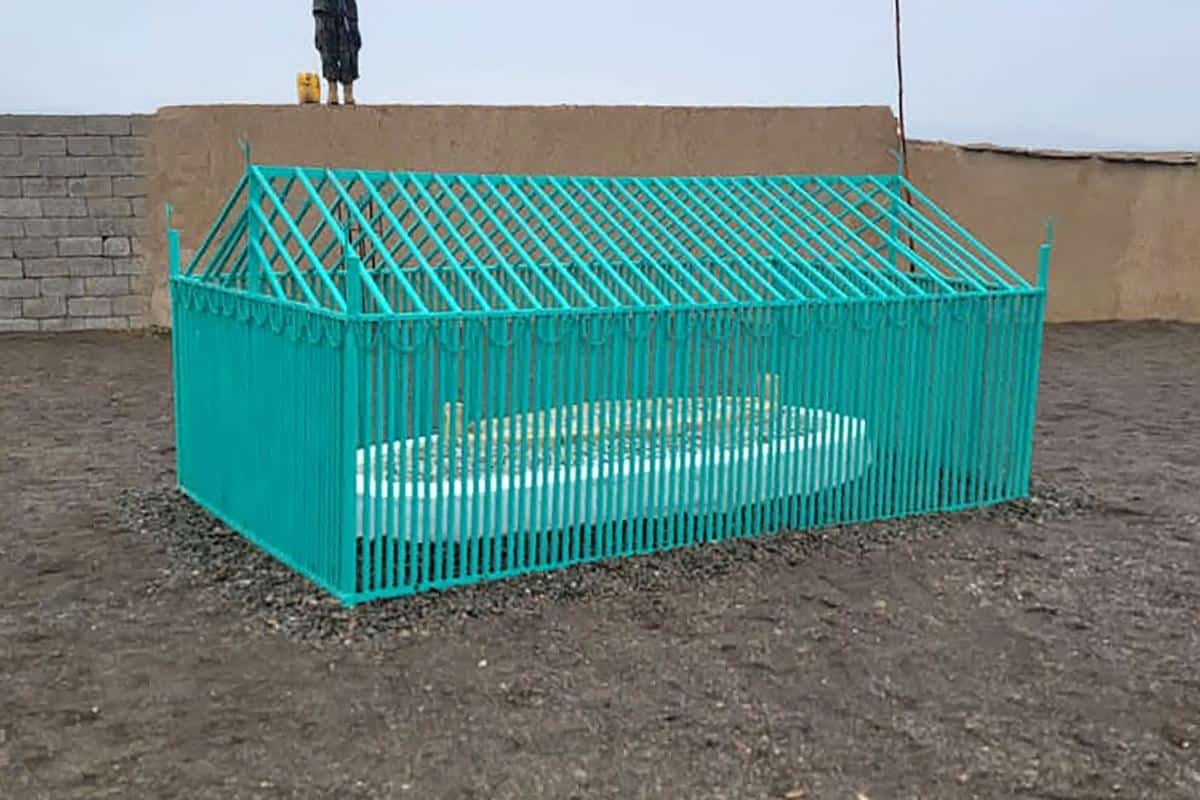 Video: Taliban govt reveals final resting place of founder Mullah Omar